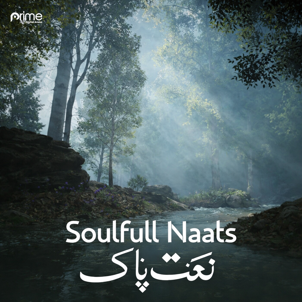 Creative partner profile